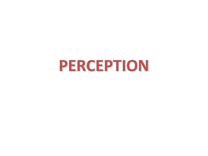 PERCEPTION 