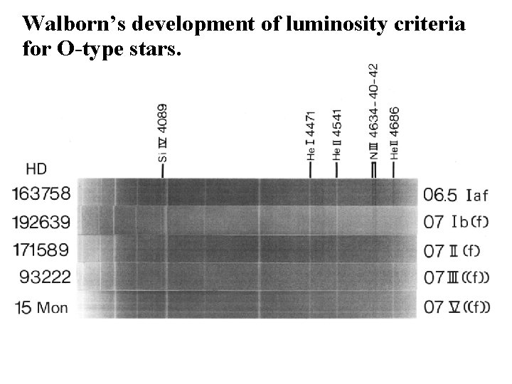 Walborn’s development of luminosity criteria for O-type stars. Walborn’s development of luminosity criteria for O-type stars.