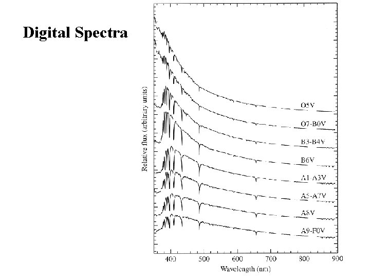 Digital Spectra Digital Spectra
