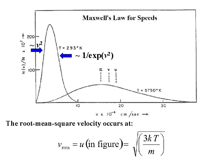 ~ v 2 ~ 1/exp(v 2) The root-mean-square velocity occurs at: ~ v 2 ~ 1/exp(v 2) The root-mean-square velocity occurs at:
