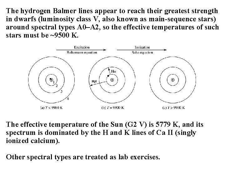 The hydrogen Balmer lines appear to reach their greatest strength in dwarfs (luminosity class The hydrogen Balmer lines appear to reach their greatest strength in dwarfs (luminosity class