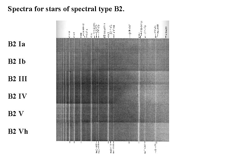 Spectra for stars of spectral type B 2 Ia B 2 Ib B 2 Spectra for stars of spectral type B 2 Ia B 2 Ib B 2