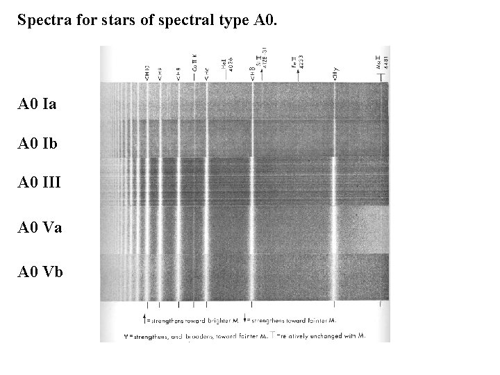 Spectra for stars of spectral type A 0 Ia A 0 Ib A 0 Spectra for stars of spectral type A 0 Ia A 0 Ib A 0