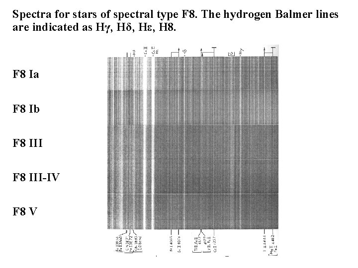 Spectra for stars of spectral type F 8. The hydrogen Balmer lines are indicated Spectra for stars of spectral type F 8. The hydrogen Balmer lines are indicated