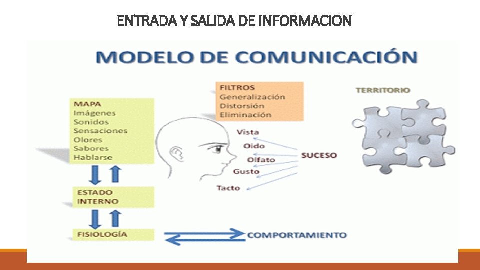 ENTRADA Y SALIDA DE INFORMACION 