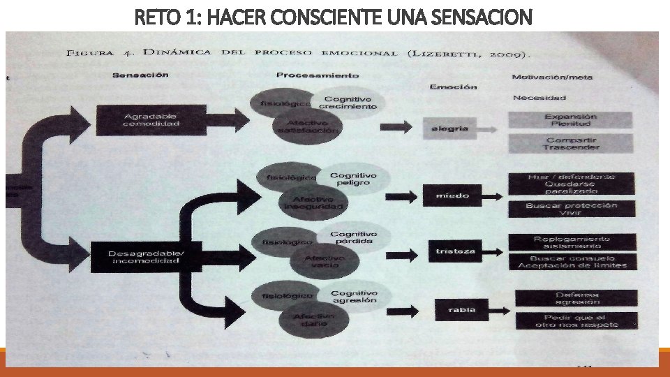 RETO 1: HACER CONSCIENTE UNA SENSACION 