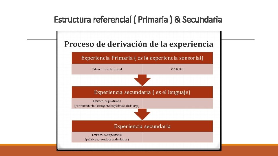 Estructura referencial ( Primaria ) & Secundaria 