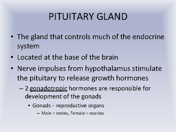 PITUITARY GLAND • The gland that controls much of the endocrine system • Located