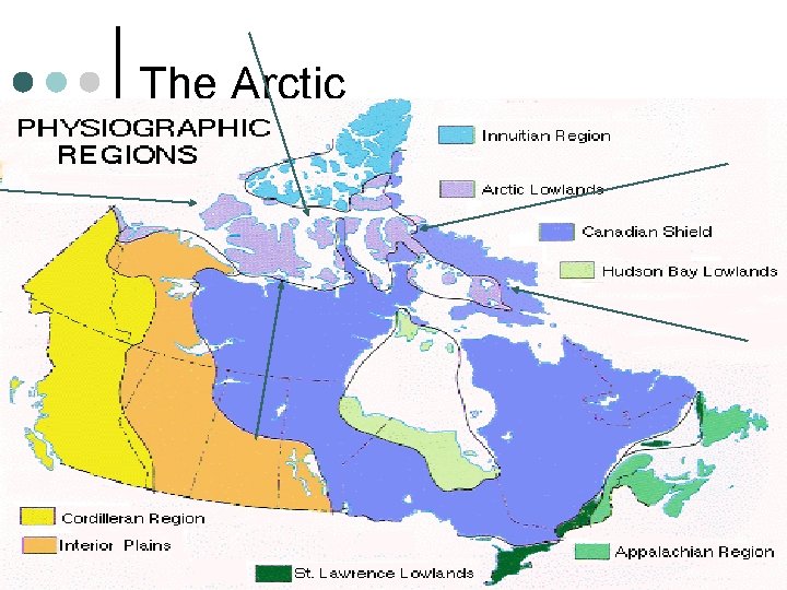 The Arctic The Arctic