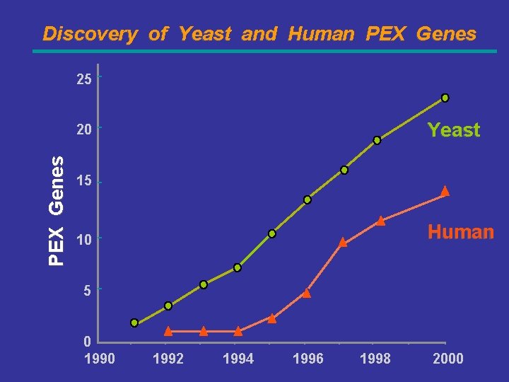 Discovery of Yeast and Human PEX Genes 25 Yeast PEX Genes 20 15 Human