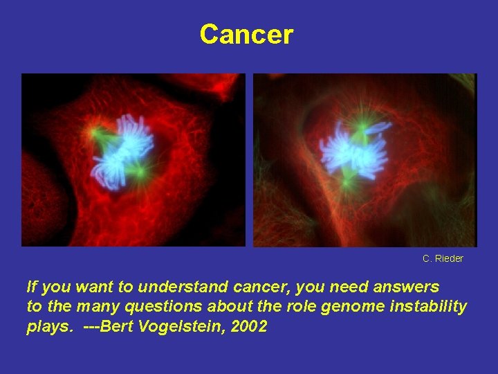 Cancer C. Rieder If you want to understand cancer, you need answers to the