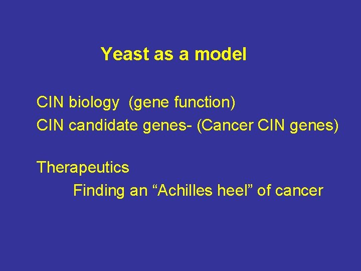 Yeast as a model CIN biology (gene function) CIN candidate genes- (Cancer CIN genes)