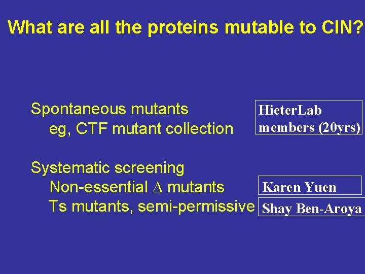 What are all the proteins mutable to CIN? Spontaneous mutants eg, CTF mutant collection