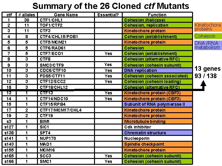 Summary of the 26 Cloned ctf Mutants ctf 1 2 3 4 5 6