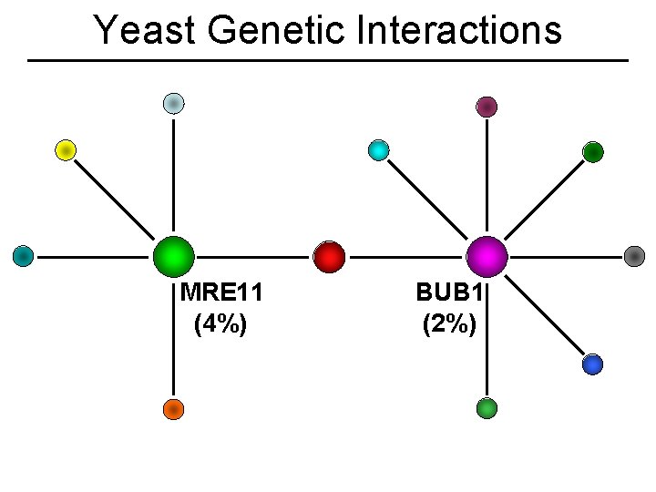 Yeast Genetic Interactions MRE 11 (4%) BUB 1 (2%) 