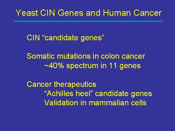 Yeast CIN Genes and Human Cancer CIN “candidate genes” Somatic mutations in colon cancer