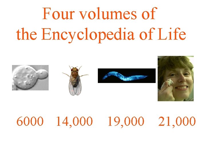 Four volumes of the Encyclopedia of Life 6000 14, 000 19, 000 21, 000