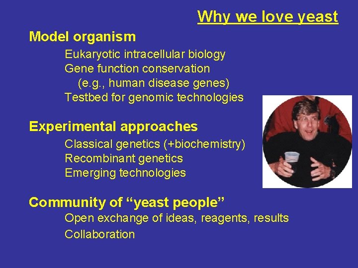 Why we love yeast Model organism Eukaryotic intracellular biology Gene function conservation (e. g.
