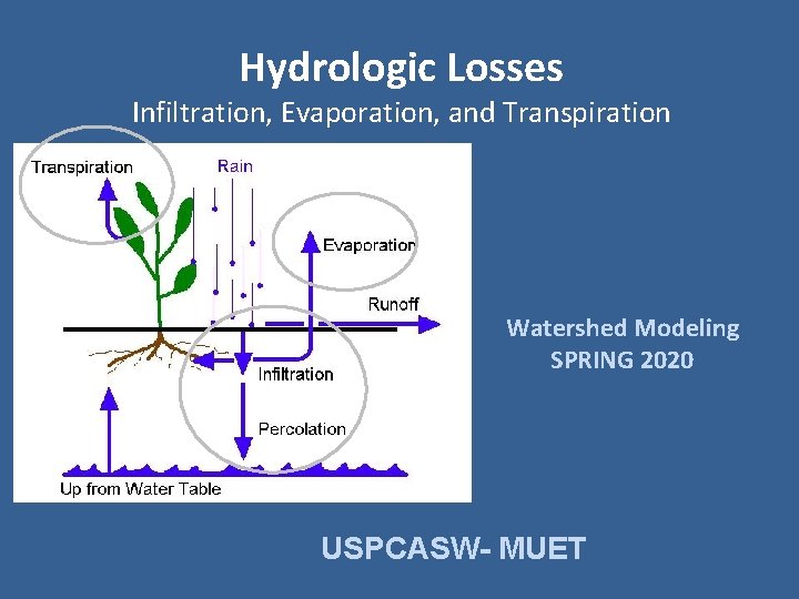 Hydrologic Losses Infiltration, Evaporation, and Transpiration Watershed Modeling SPRING 2020 USPCASW- MUET 