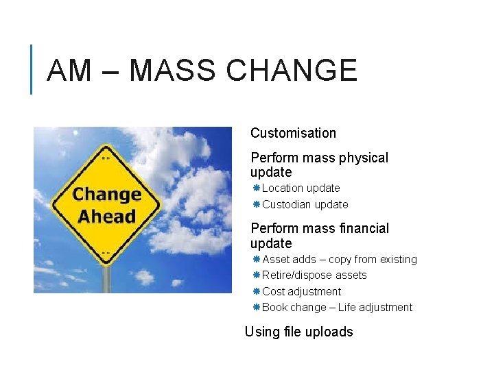 AM – MASS CHANGE Customisation Perform mass physical update Location update Custodian update Perform