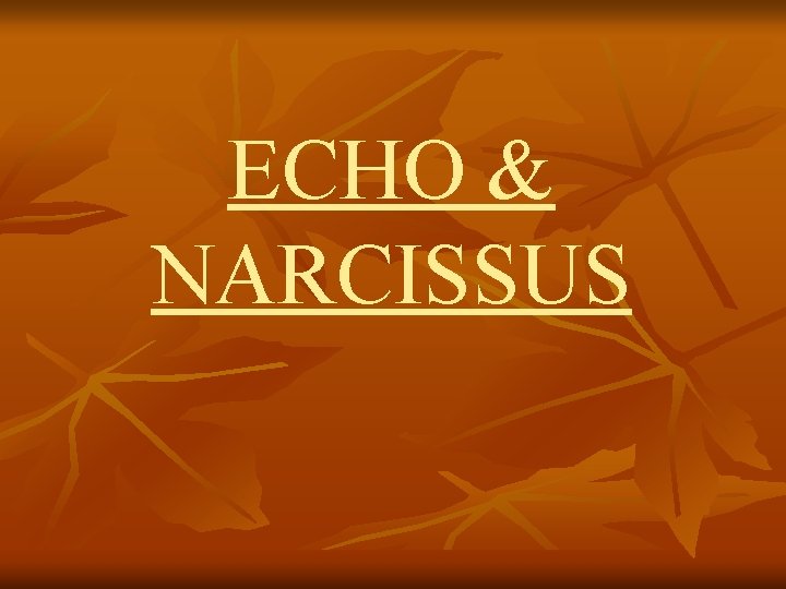 ECHO & NARCISSUS 
