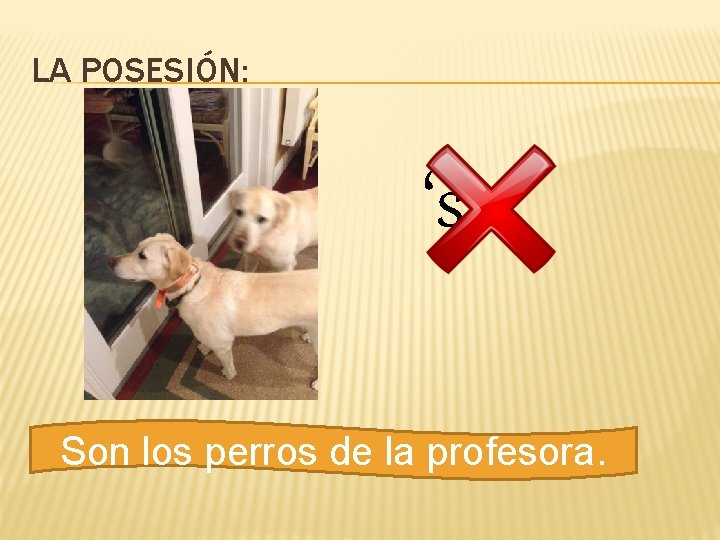 LA POSESIÓN: ‘s Son los perros de la profesora. 