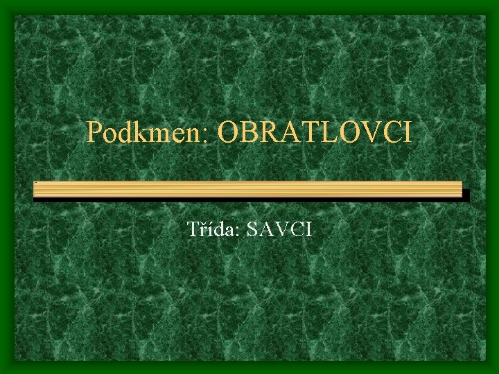 Podkmen: OBRATLOVCI Třída: SAVCI 