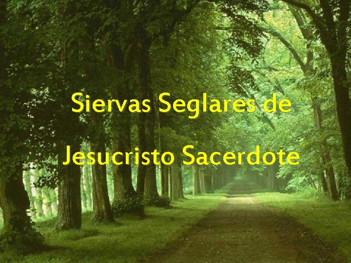 Siervas Seglares de Jesucristo Sacerdote 