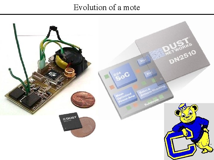 Evolution of a mote 