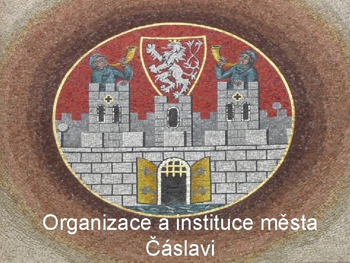 Organizace a instituce města Čáslavi 