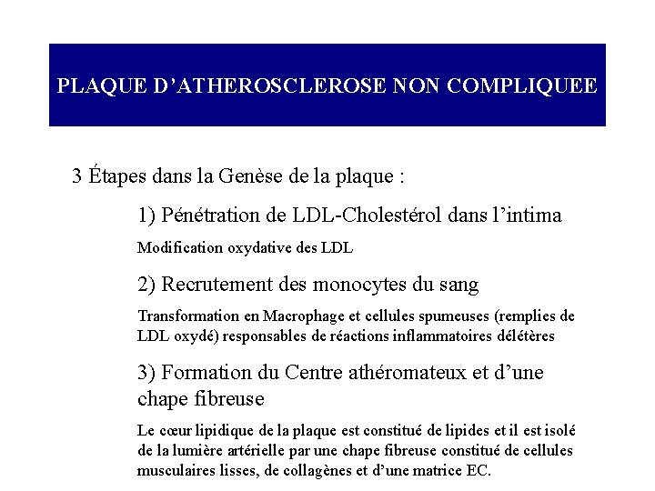 PLAQUE D’ATHEROSCLEROSE NON COMPLIQUEE 3 Étapes dans la Genèse de la plaque : 1)