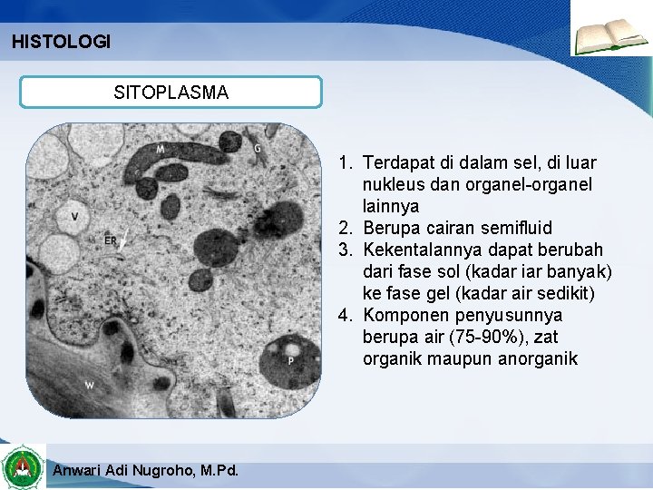 HISTOLOGI SITOPLASMA 1. Terdapat di dalam sel, di luar nukleus dan organel-organel lainnya 2.