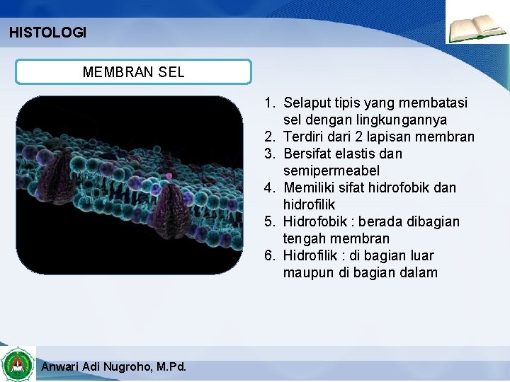 HISTOLOGI MEMBRAN SEL 1. Selaput tipis yang membatasi sel dengan lingkungannya 2. Terdiri dari