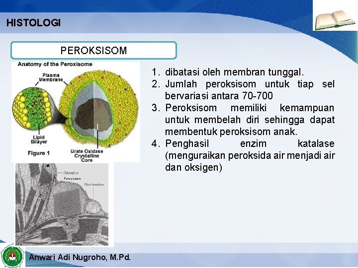 HISTOLOGI PEROKSISOM 1. dibatasi oleh membran tunggal. 2. Jumlah peroksisom untuk tiap sel bervariasi