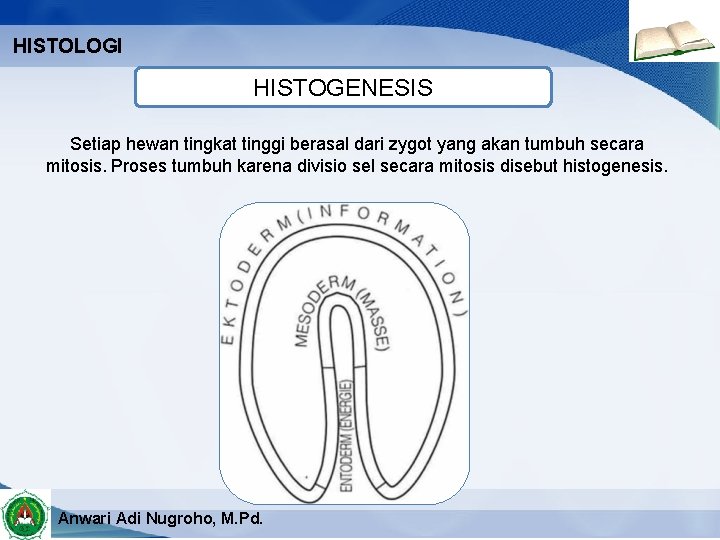 HISTOLOGI HISTOGENESIS Setiap hewan tingkat tinggi berasal dari zygot yang akan tumbuh secara mitosis.