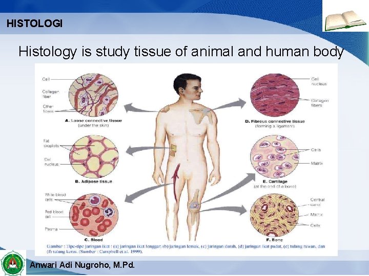 HISTOLOGI Histology is study tissue of animal and human body Anwari Adi Nugroho, M.