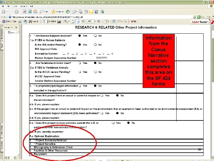 Information from the Coeus Narrative section completes this area on the SF 424 forms