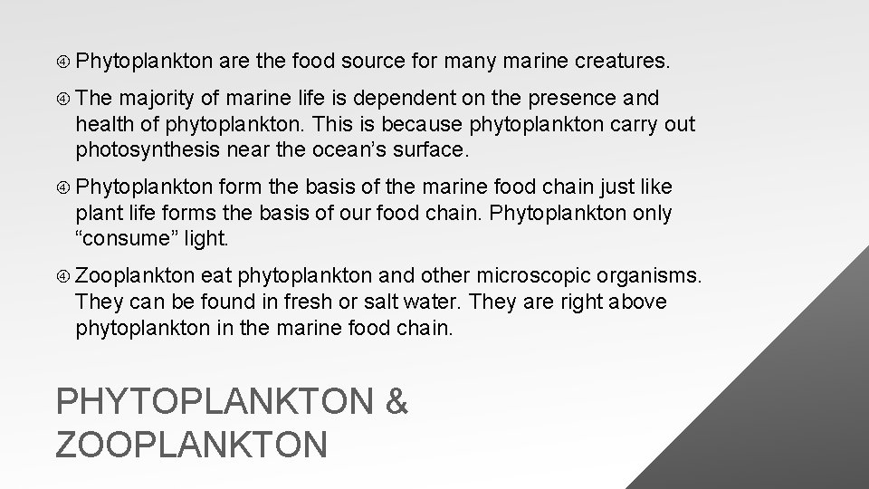  Phytoplankton are the food source for many marine creatures. The majority of marine