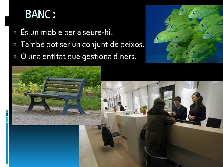 BANC: És un moble per a seure-hi. També pot ser un conjunt de peixos.