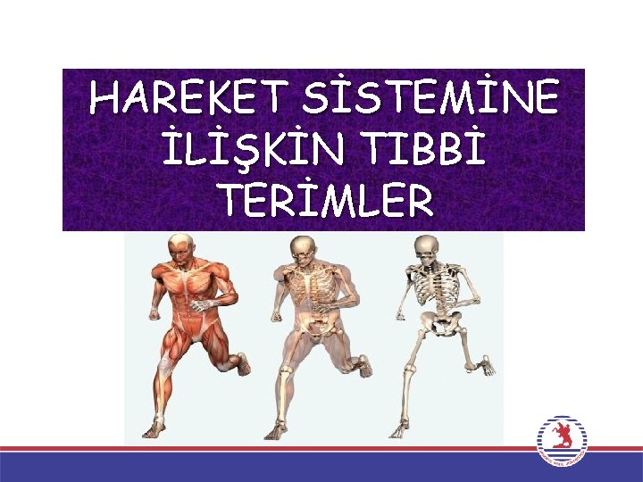 HAREKET SİSTEMİNE İLİŞKİN TIBBİ TERİMLER 