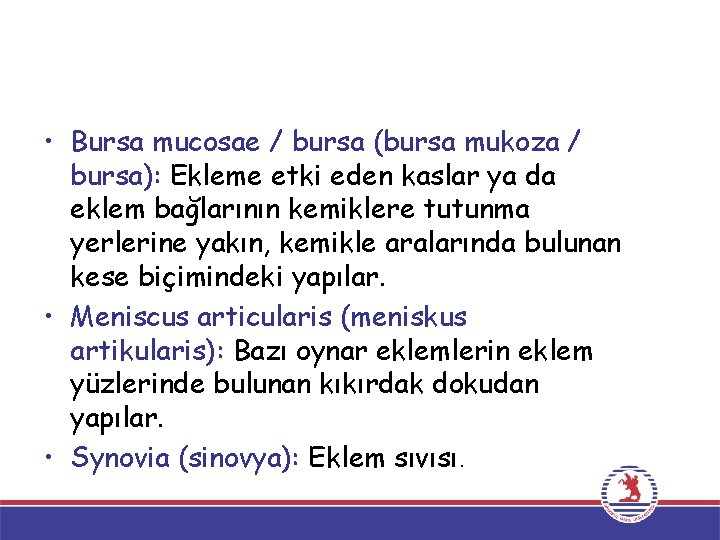  • Bursa mucosae / bursa (bursa mukoza / bursa): Ekleme etki eden kaslar