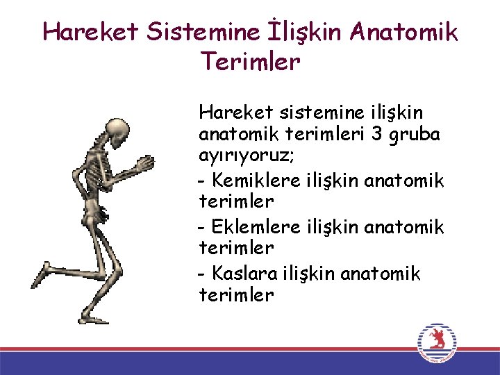 Hareket Sistemine İlişkin Anatomik Terimler Hareket sistemine ilişkin anatomik terimleri 3 gruba ayırıyoruz; -