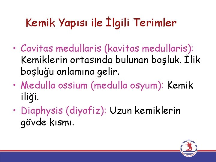 Kemik Yapısı ile İlgili Terimler • Cavitas medullaris (kavitas medullaris): Kemiklerin ortasında bulunan boşluk.