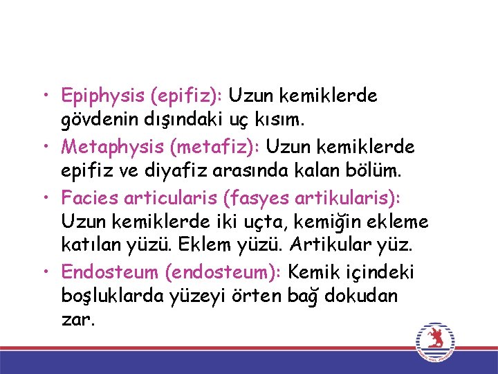  • Epiphysis (epifiz): Uzun kemiklerde gövdenin dışındaki uç kısım. • Metaphysis (metafiz): Uzun