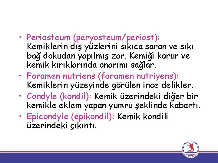  • Periosteum (peryosteum/periost): Kemiklerin dış yüzlerini sıkıca saran ve sıkı bağ dokudan yapılmış