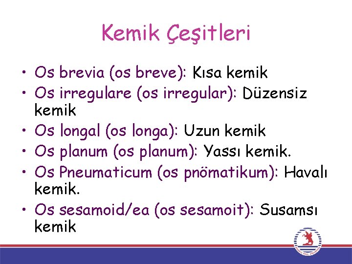 Kemik Çeşitleri • Os brevia (os breve): Kısa kemik • Os irregulare (os irregular):