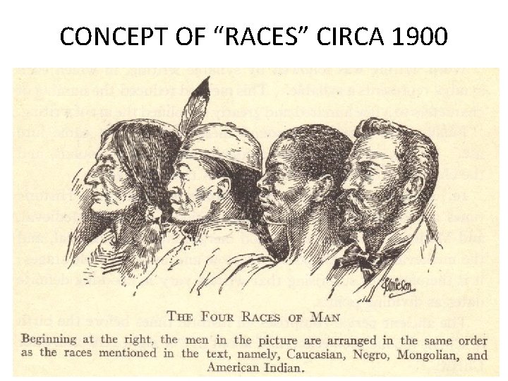 CONCEPT OF “RACES” CIRCA 1900 