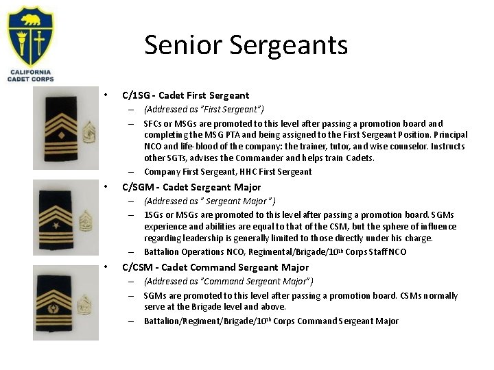 Senior Sergeants • C/1 SG - Cadet First Sergeant – – – • C/SGM