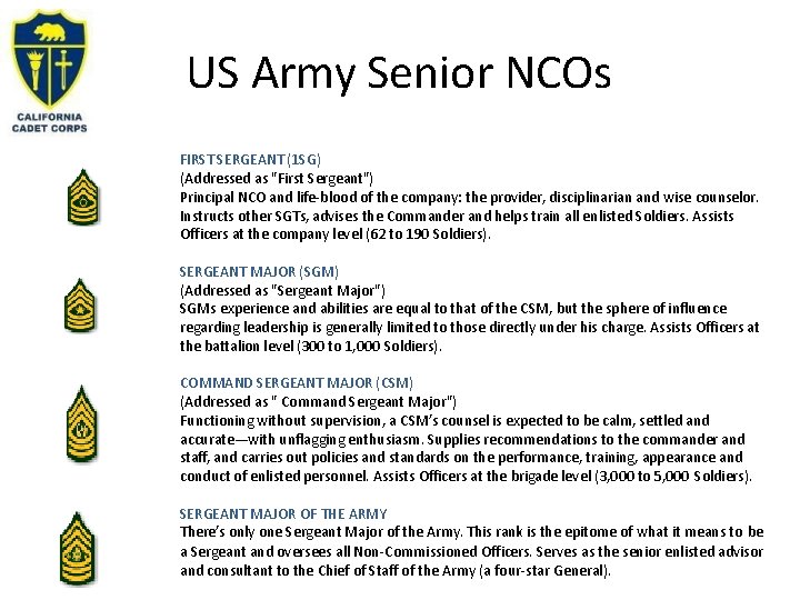 US Army Senior NCOs FIRST SERGEANT (1 SG) (Addressed as "First Sergeant") Principal NCO