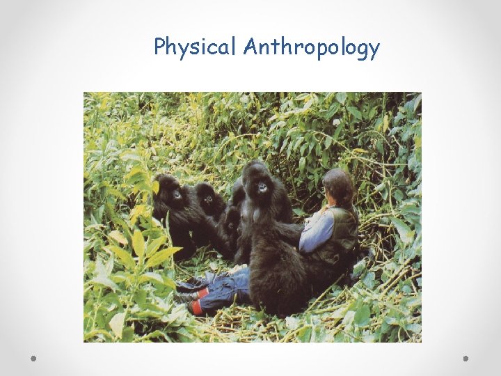 Physical Anthropology 